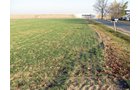 Property photo 18 - 60 Acres Offered in 2 Tracts